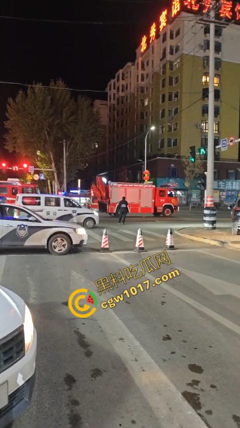 惊讶!宝清市街头惊现巨熊,警察开枪击毙,血洒街头,网友热议动物保护与城市安全!