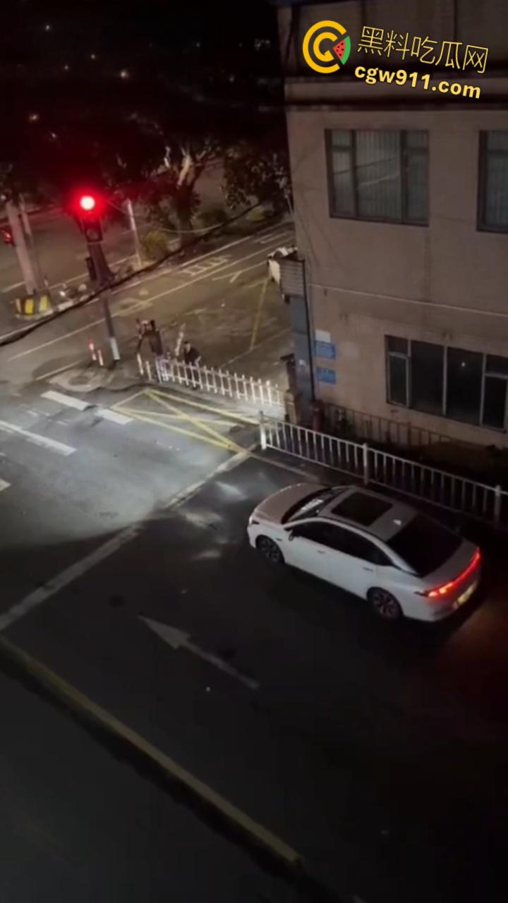 广东河池醉汉酒后失控，成年男子管不住自己酒瘾，深夜街头大打出手大砸车辆，鲜血流淌不仅扰民还伤己 ！