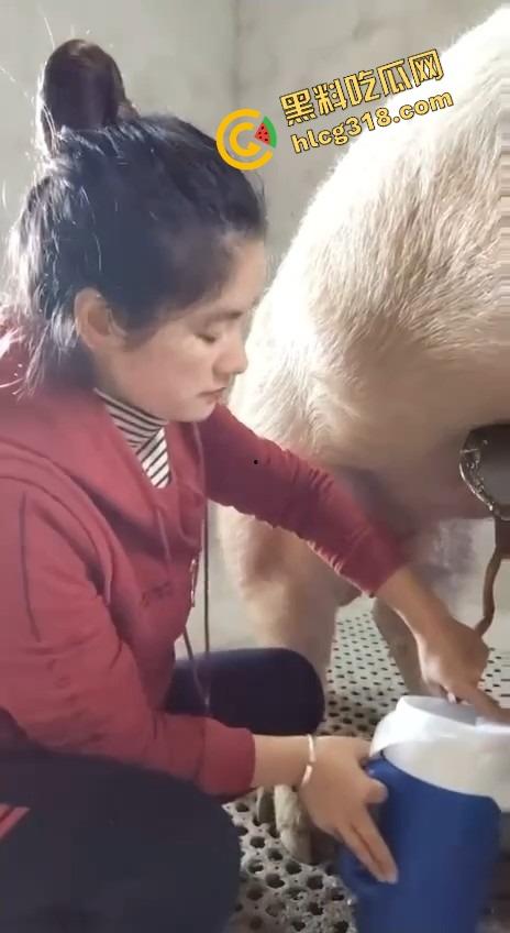 美女上岗第一天就被安排帮猪撸取精,手法娴熟动作老练,取精现场表情管理拉满