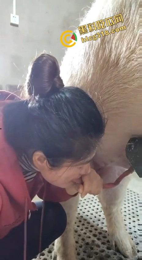 美女上岗第一天就被安排帮猪撸取精,手法娴熟动作老练,取精现场表情管理拉满