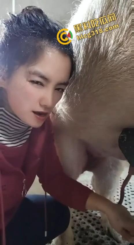 美女上岗第一天就被安排帮猪撸取精,手法娴熟动作老练,取精现场表情管理拉满