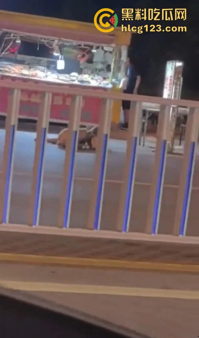 河北邢台 快手网红【吴媛媛】嗑药嗑嗨全裸大街爬行 裸奔求操视频疯传全网