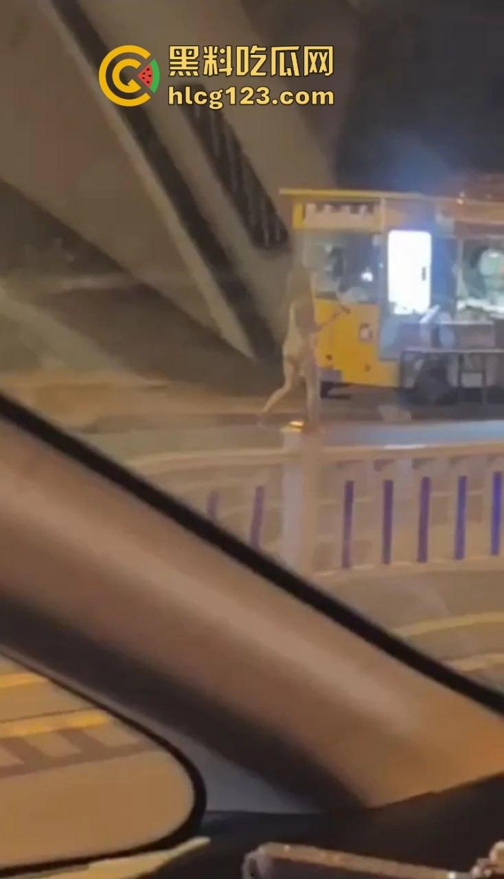 河北邢台 快手网红【吴媛媛】嗑药嗑嗨全裸大街爬行 裸奔求操视频疯传全网