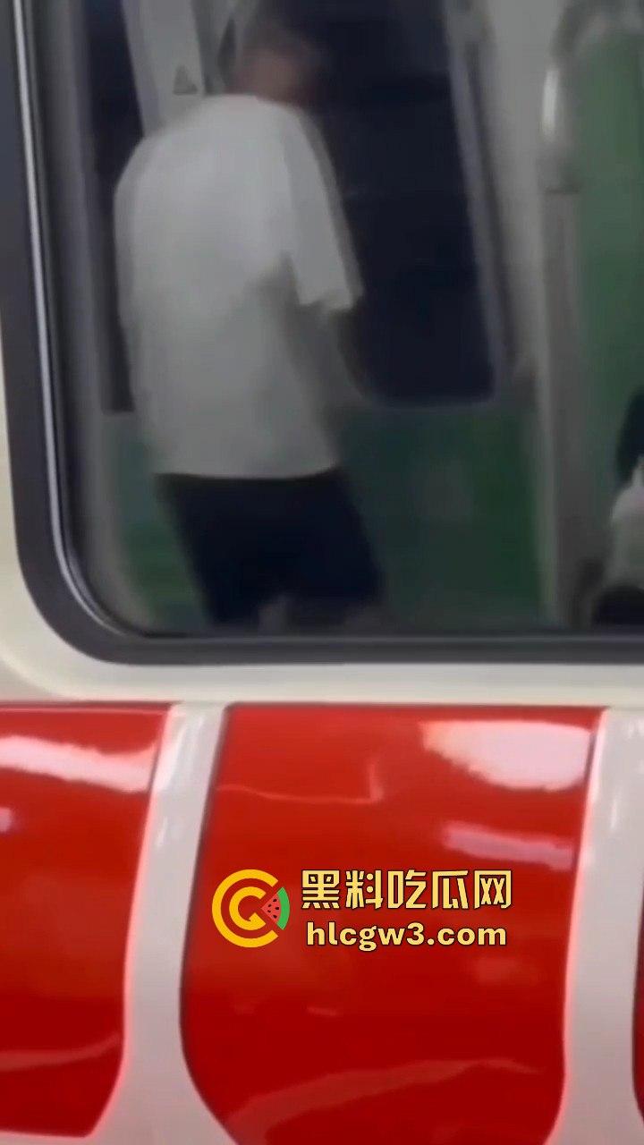 杭州地铁惊现飞机侠,哥们地铁上直接撸管,瘾大得逆天,旁若无人狠导,真特么绝了!