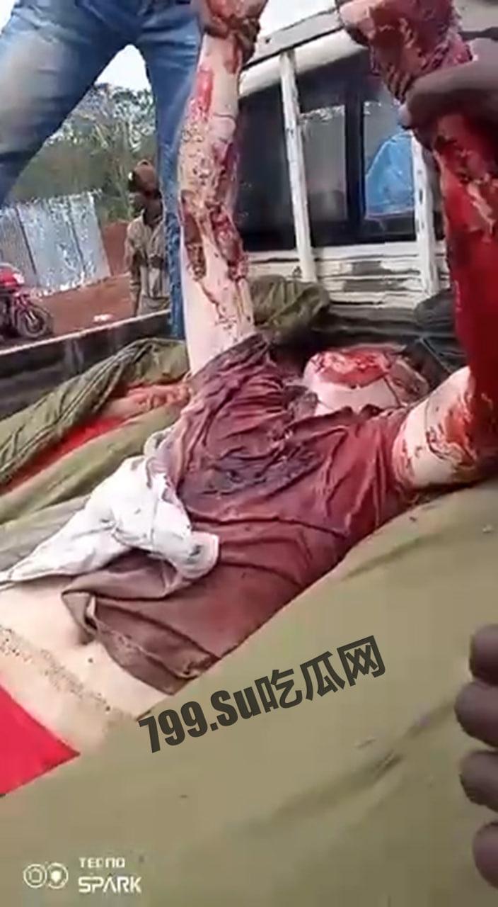 中非共和国金矿遇袭，九名中国人丧生，现场视频流出