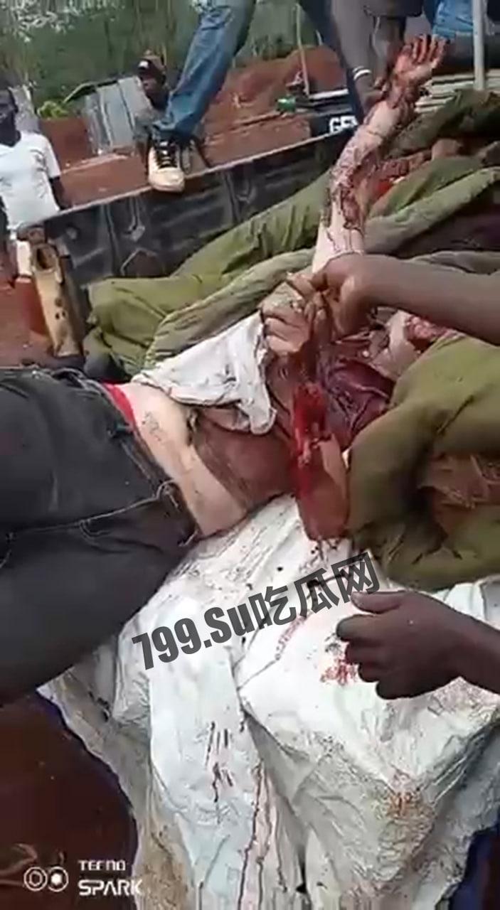 中非共和国金矿遇袭,九名中国人丧生,现场视频流出