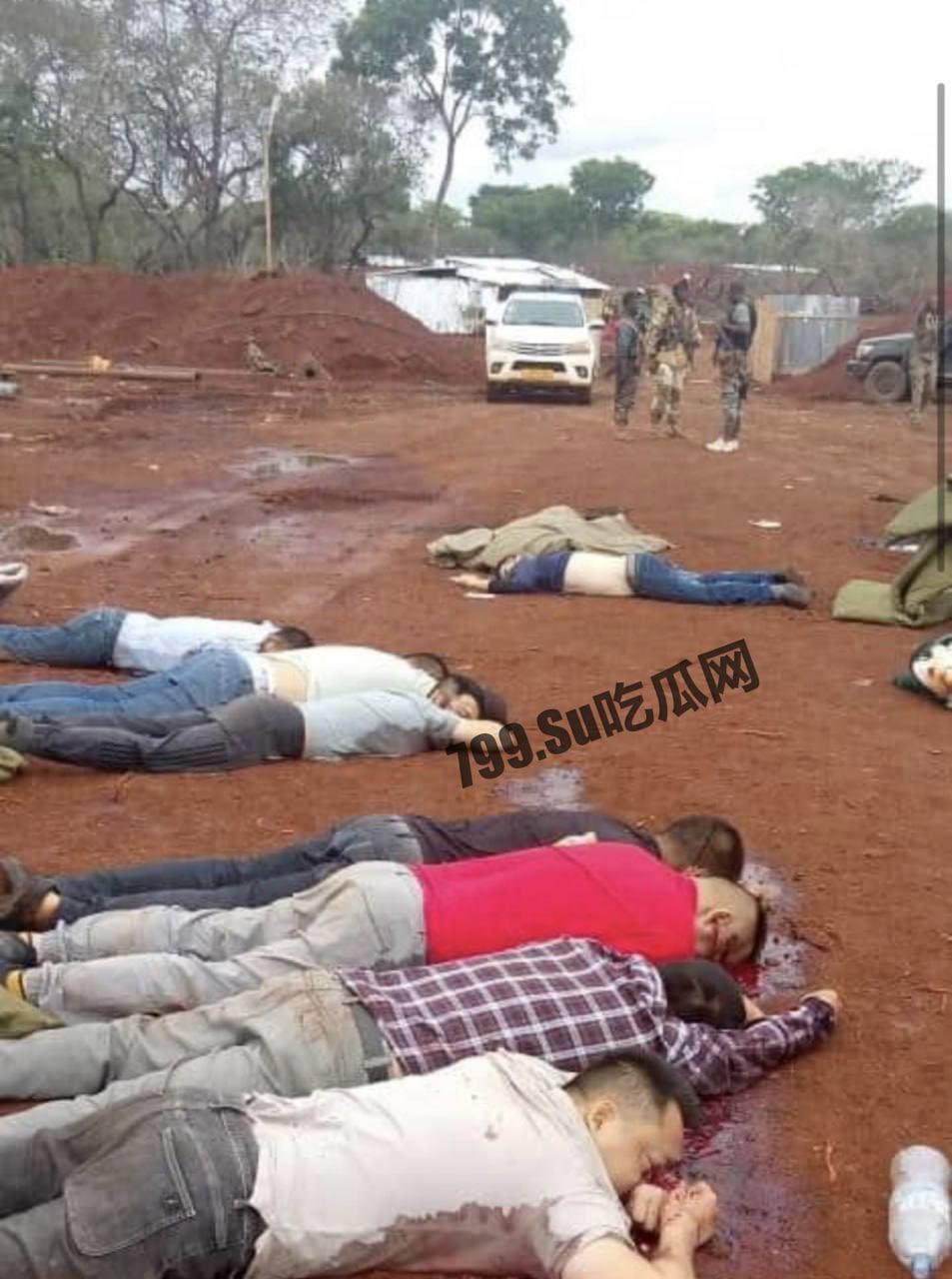 中非共和国金矿遇袭,九名中国人丧生,现场视频流出