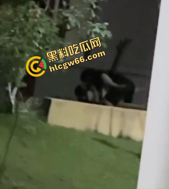 离谱到飞起,一对狗男女在医院小花园直播做爱,护士小姐姐排排站吃瓜围观,白大褂都看红了脸!