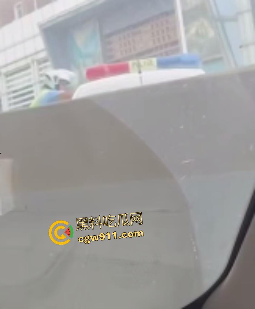 石家庄现实版侠盗飞车!欲跳桥自杀男子反转抢警车狂飙撞飞路人,警方围堵抓捕直接撞烂警车!